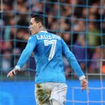 José Maria Callejon